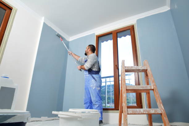 Best Ceiling Drywall Installation  in , IL