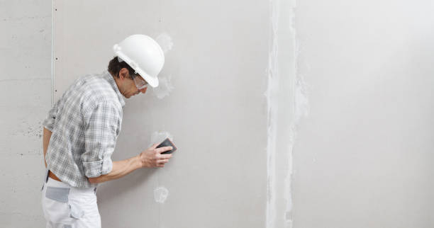 Best Drywall Removal and Disposal  in , IL