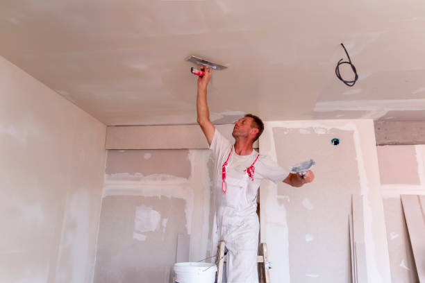 Best Commercial Painting  in , IL