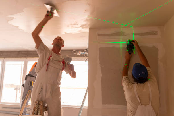 Best Drywall Finishing  in , IL